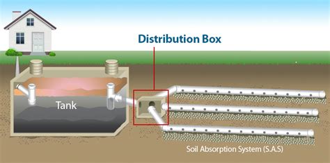 distance between septic tank and distribution box|septic tank d box.